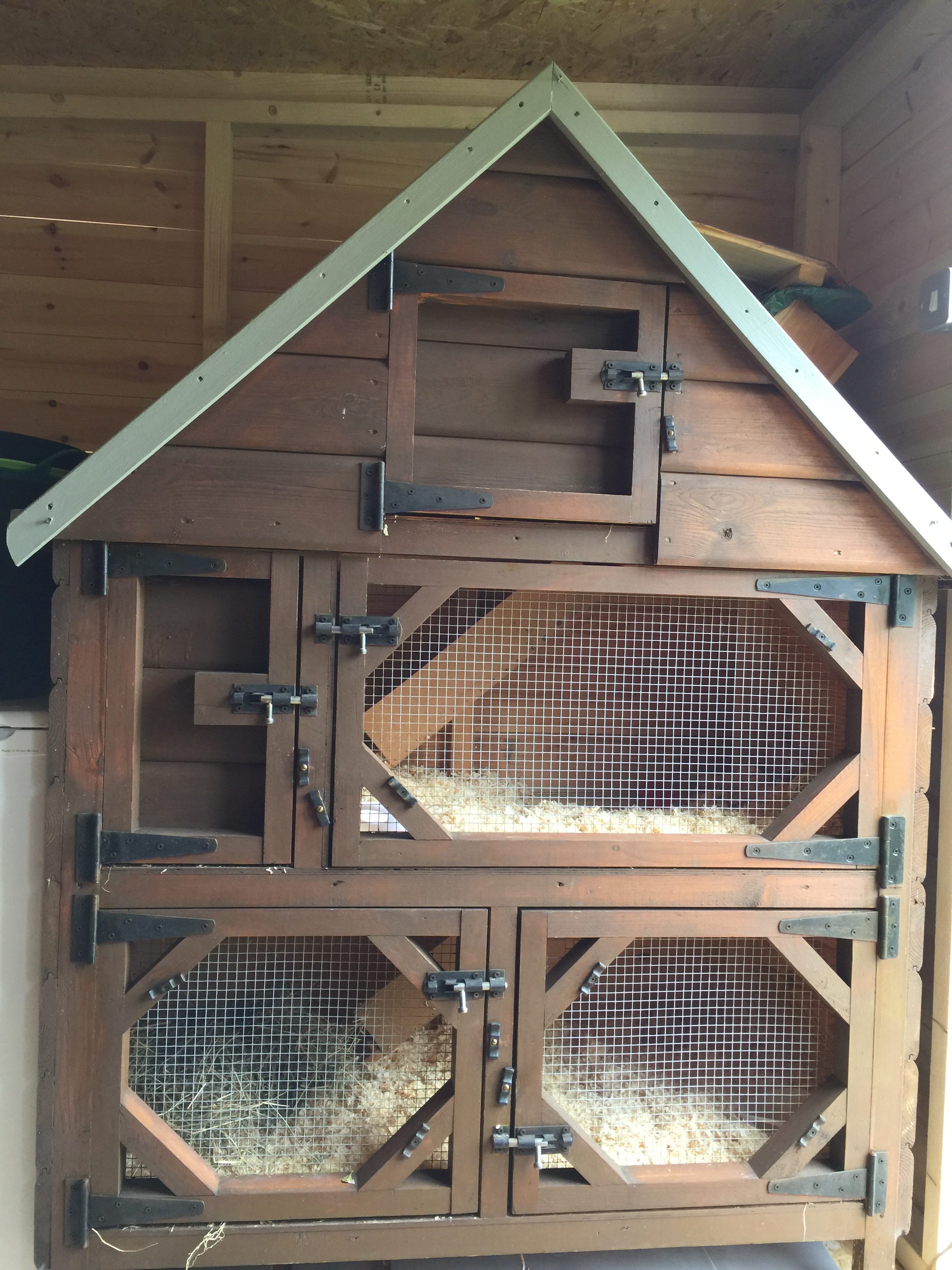 New Up to Eight Guinea Pigs Sharing Guinea Pig Hotel