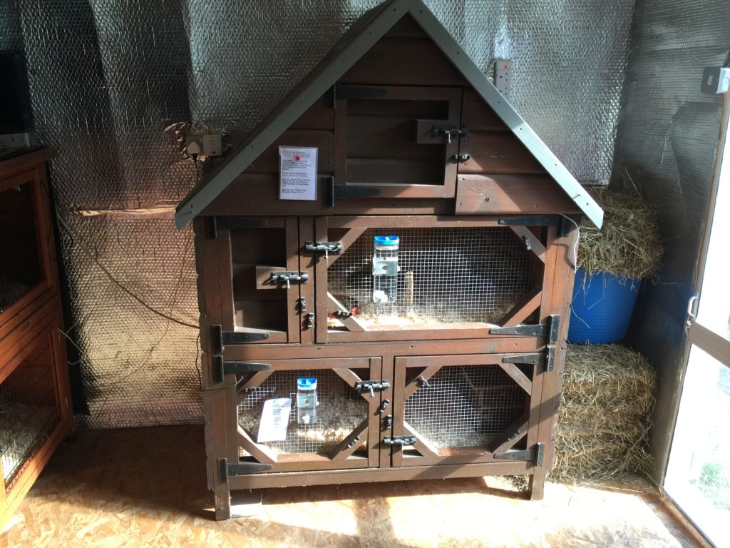 Guinea Pig Hotel Guinea Pig Hotel