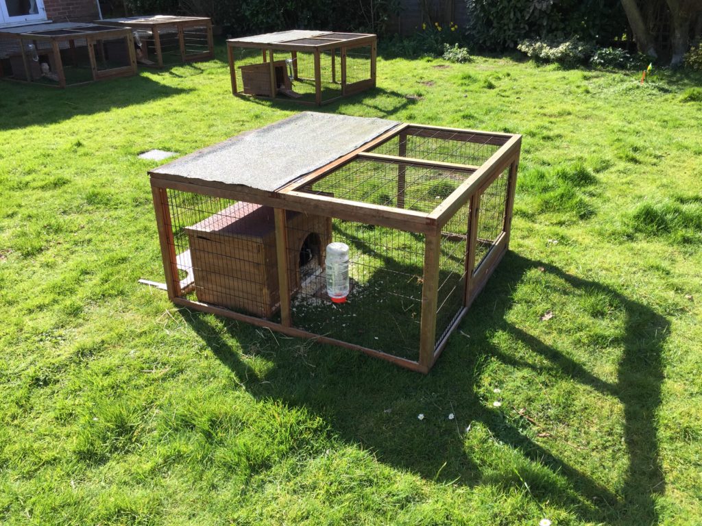 Guinea Pig Hotel Accommodation - Guinea Pig Hotel