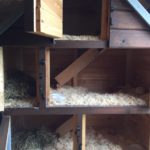 8 guinea pig hutch